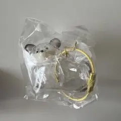 うちの子のけだまだま　犬のけだまだま　チワワ