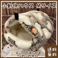 Item thumbnail for item 9e7307b1-59ee-41cd-a81d-35705444e8b2