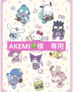 AKEMI様　専用