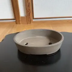 盆栽鉢　植木鉢　23㎝