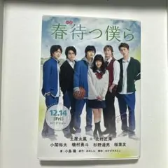 春待つ僕ら 7巻 ドラマCD付き特装版 - メルカリ