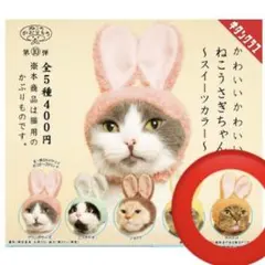 ねこのかぶりもの　ねこうさぎちゃん〜スイーツカラ〜　キャロット色1個