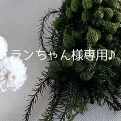 ランちゃん様専用ページです♪