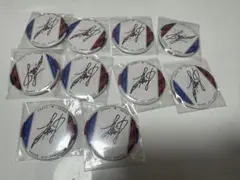 にじさんじ セラフ・ダズルガーデン 誕生日グッズ 缶バッジ 10点