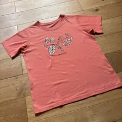 旅行で着物を着る会様 リクエスト 2点 まとめ商品