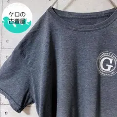 US古着 プリント Tシャツ L グレー 店舗