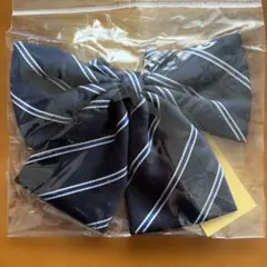 Item thumbnail for item 37ddc93f-ee3d-4233-a288-38d98e62b711