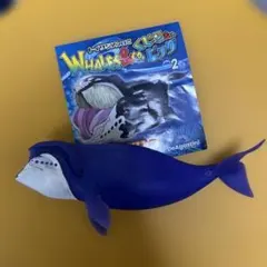 くじらアンドコ　ホッキョククジラのサムネイル
