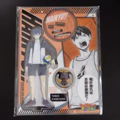 ハイキュー!!　キャラパネ軍団!!　アクリルスタンド　影山飛雄　ファンパーク