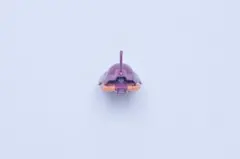 Item thumbnail for item dca2dc78-ac78-4ab0-9344-25653bca0823