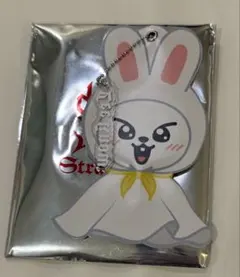 StrayKids SKZOO うちわカバー Leebit リノ ソウルコン - メルカリ
