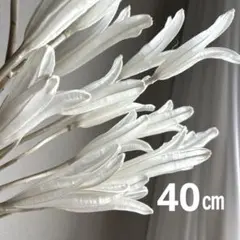 2026年最新】ユリの花殻の人気アイテム - メルカリ