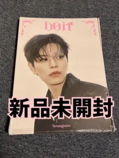 stray kids スキズ　DO IT アルバム　新品未開封　スンミン