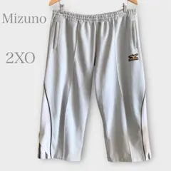 ★新参者様専用❤️ミズノ　トレーニングハーフパンツ　ジャージ　ライトグレー