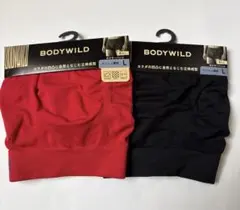 BODYWILD ボクサーパンツ ２色セット Lサイズ　グンゼ　ボディワイルド