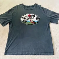 ZARA Tシャツ　Mサイズ　半袖