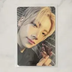 &TEAM YUMA ユウマ POPUP ポップアップ トレカ