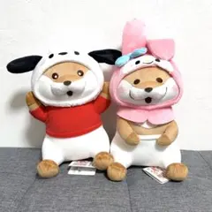 可愛い嘘のカワウソ×サンリオBIGぬいぐるみ ポチャッコ　マイメロディ　プライズ