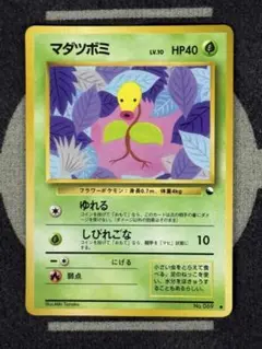 【10点2500円引き】マダツボミ