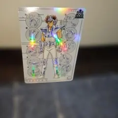 聖闘士星矢 トレーディングカード ペガサス星矢