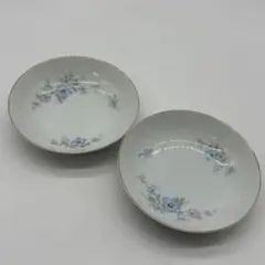 Noritake NIPPON TOKI KAISHA ミニ皿 2枚セット - メルカリ