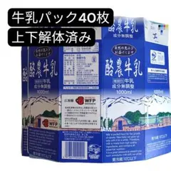【即日発送】牛乳パック 40枚 解体済み　リサイクル素材　DIY　工作