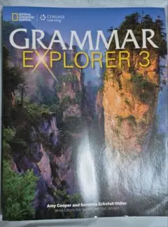 GRAMMAR EXPLORER 3