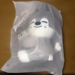 スキズ SKZOO PLUSH BACKPACK ウルフチャン ペンミ - メルカリ
