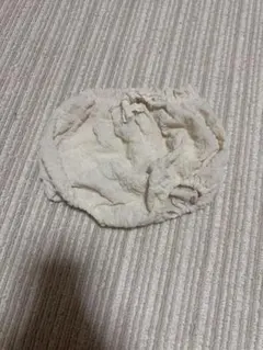 Aosta アオスタ　ベビー ブルマ Sサイズ