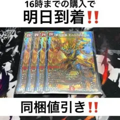 2026年最新】モルトドリーム 4枚の人気アイテム - メルカリ