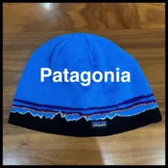 【希少】Patagonia ビンテージ ビーニー ニット帽
