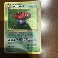 kunpei様 リクエスト 2点 まとめ商品