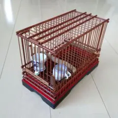 2025年最新】メジロかごの人気アイテム - メルカリ