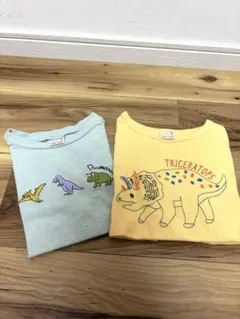 petit main プティマイン 半袖 Tシャツ 2枚セット 恐竜 110のサムネイル