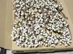 ドライフラワースワッグ