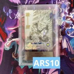 【ARS10】SDVTD-002 孫悟飯少年期のサムネイル