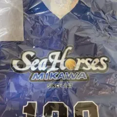 シーホース三河 ユニフォーム