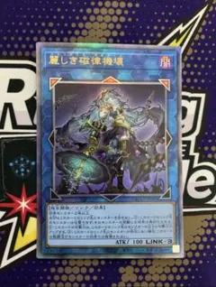 2025年最新】ジロフソニアの人気アイテム - メルカリ