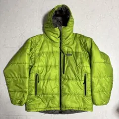 超美品‼︎ Mサイズ 02年製　patagonia DASパーカ　ゲッコーグリーン