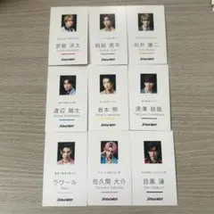 【バラ売り不可】Snow Man メンバー全員プロフィールカード9枚セット 完品