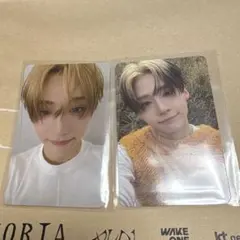 ALD1 サンウォン トレカ セット