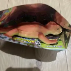 ヘンシントカゲ　カメレオンのサムネイル