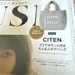 CITEN もふもふボアバッグ トートバッグ グレー オトナミューズ3月号
