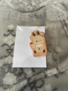 riize ソンチャン