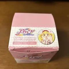 アイカツ！アニメイト限定チャイナ 缶バッジ12種フルコンプ！【未