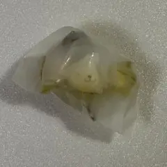 サンリオ つながるキャンディチャーム ポムポムプリン ガチャガチャ