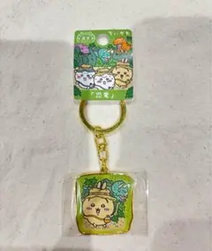 専用出品
