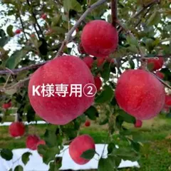 K様専用ページ②