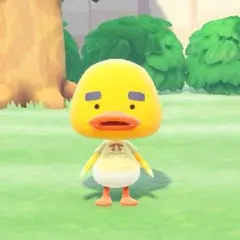 あっくん様専用´-