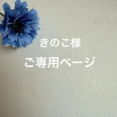 【きのこ様ご専用ページ】